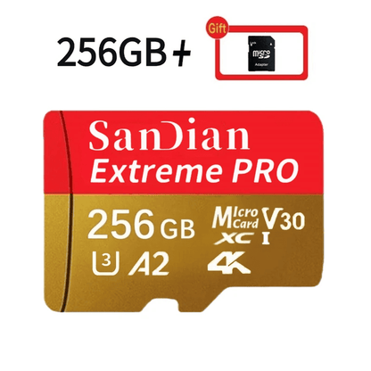 SanDisk Micro SD Class 10