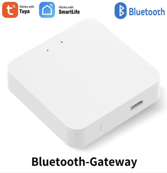 Gateway/Automation Hub Bluetooth Voice Control for Alexa and Google